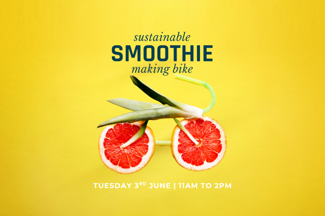 Smoothie Bike Making with Zig Exercise